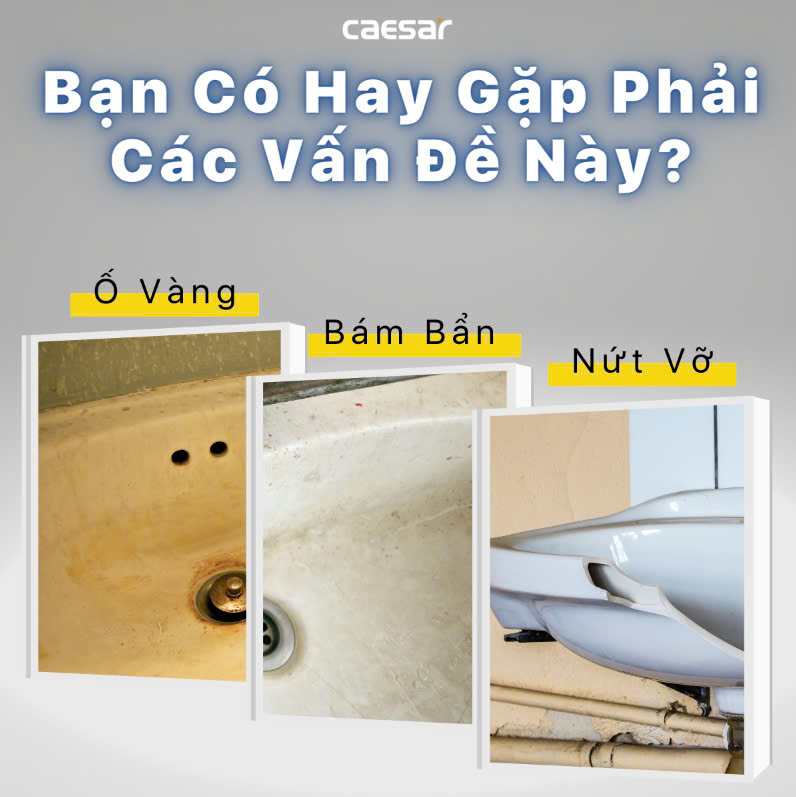 Chậu rửa Lavabo đặt bàn Caesar LF5384