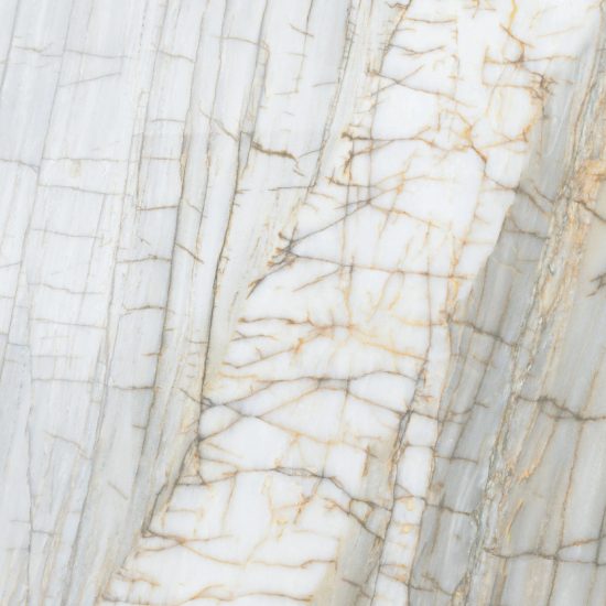 Gạch Porcelain kháng khuẩn Đồng Tâm 100DONGVAN005-FP-H+