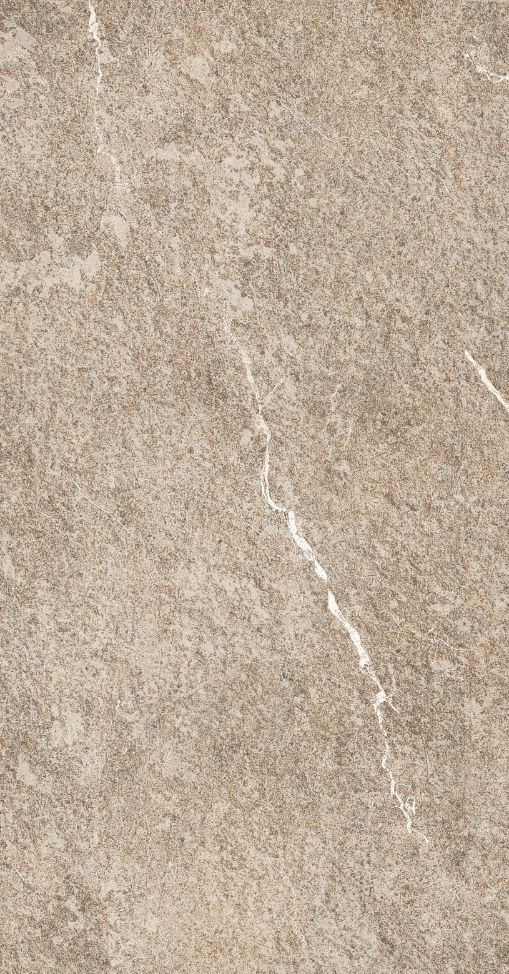Gạch thẻ trang trí 100x200 Đồng Tâm 1020ROCK014