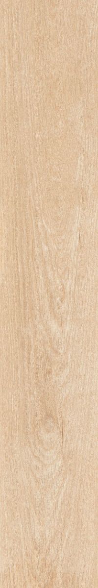 Gạch vân gỗ 200x1200 Đồng Tâm 20120BANYAN004-H
