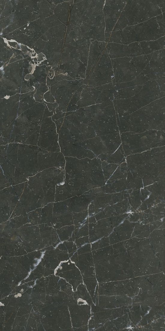 Gạch Porcelain 300x600 Đồng Tâm 3060HOANGLIENSON009