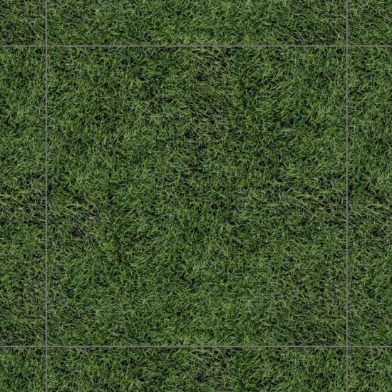 4040GREENERY002