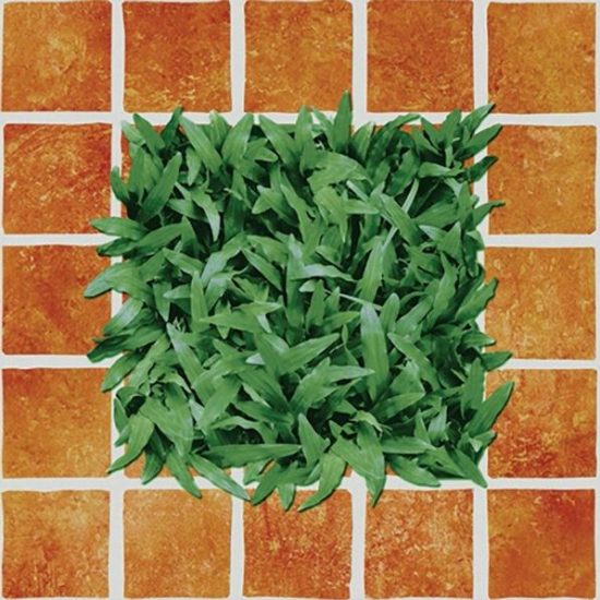 Gạch Porcelain 400x400 lát sân vườn Đồng Tâm 4040CLG002