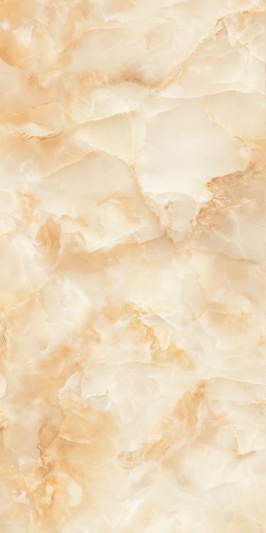 Gạch Porcelain kháng khuẩn 600x1200 Đồng Tâm 60120LANGBIANG002-FP-H+