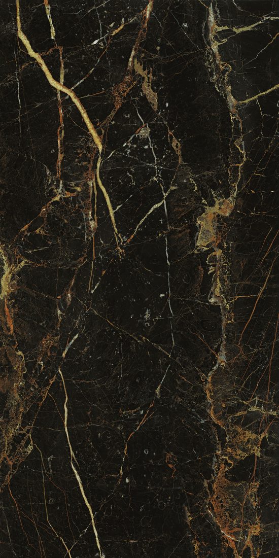 Gạch Porcelain kháng khuẩn 600x1200 Đồng Tâm 60120LANGBIANG007-FP-H+