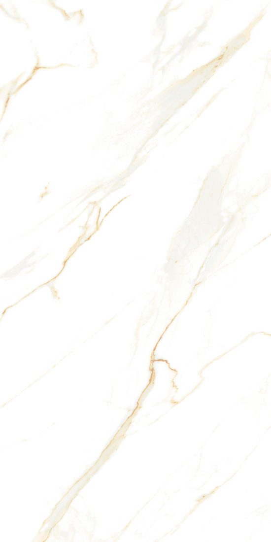 Gạch ốp lát vân đá 600x1200 Đồng Tâm 60120NILE001-H+