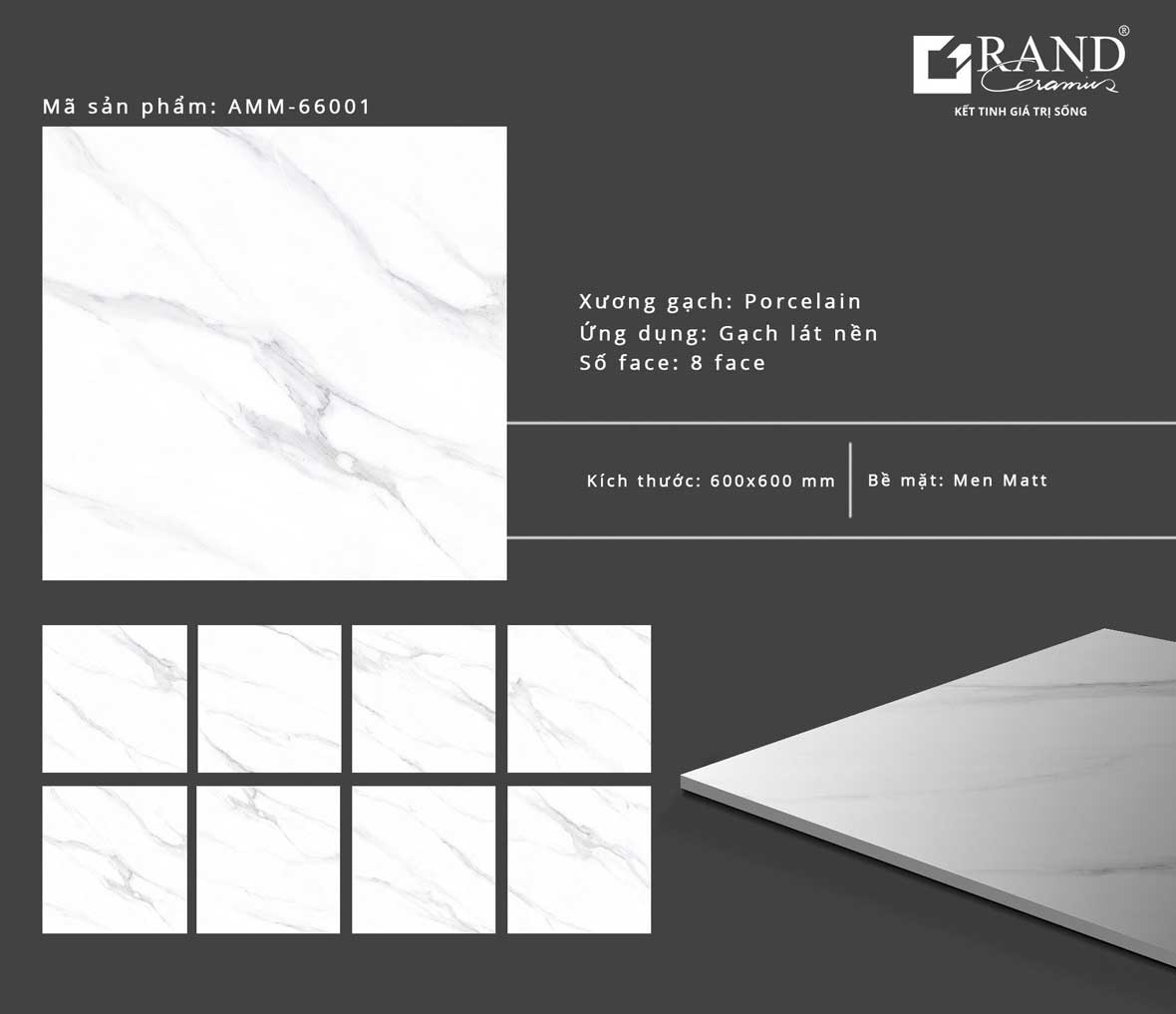 Gạch lát nền 600x600 Grand AMM-66001
