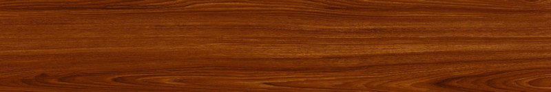 Gạch thẻ gỗ 100x600 Prime 06.100600.20113 cao cấp