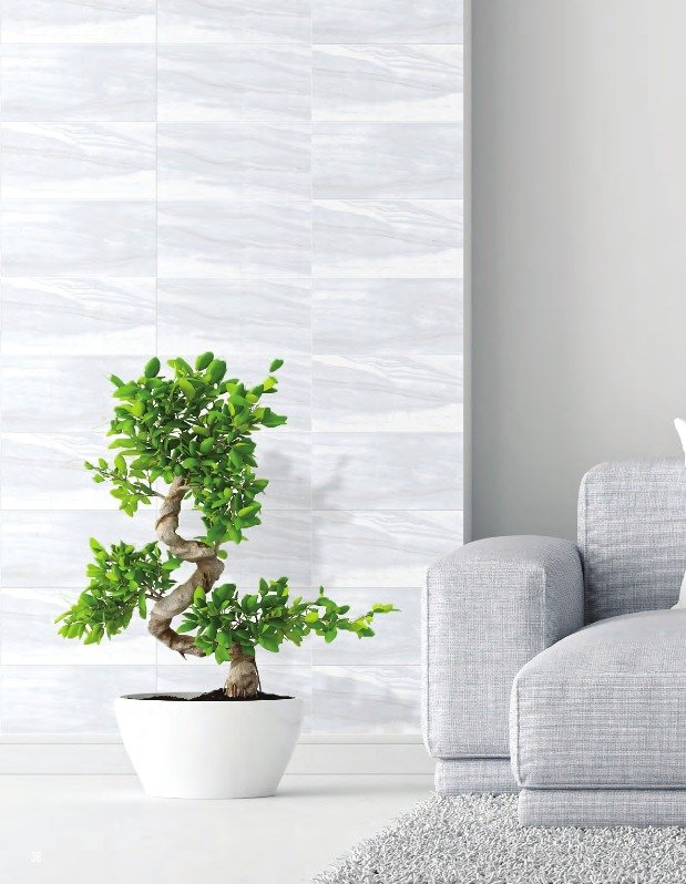 Gạch ốp lát 300x600 Taicera G63055