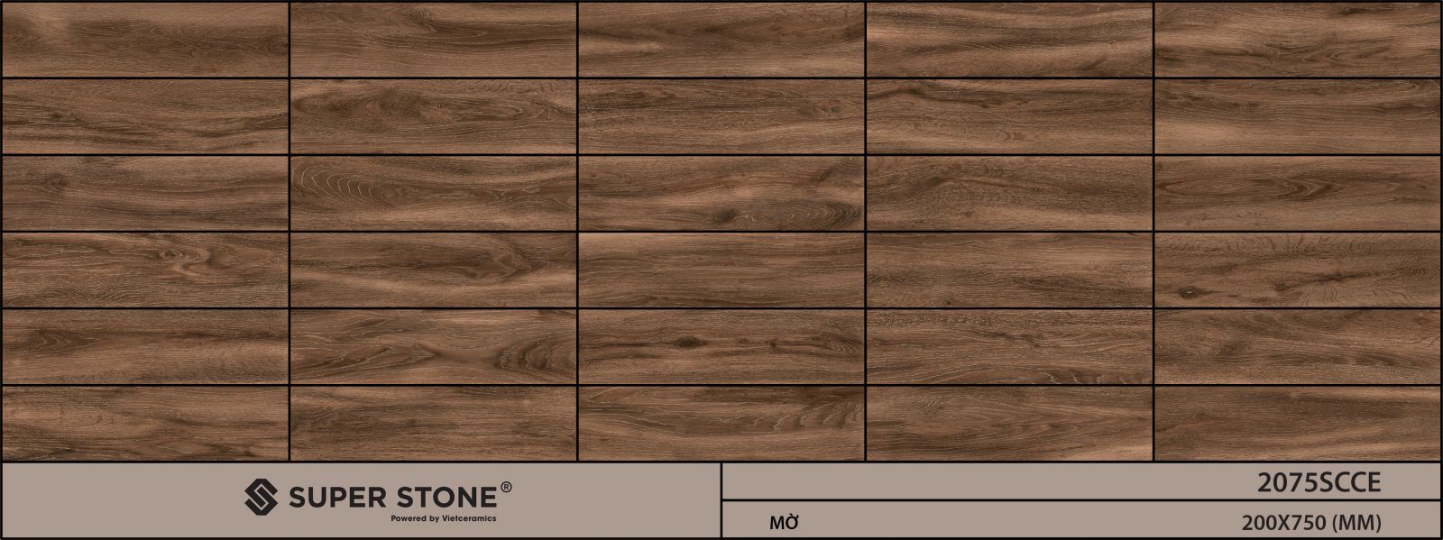 Gạch ốp lát 200x750 Tây Ban Nha 2075SCCE