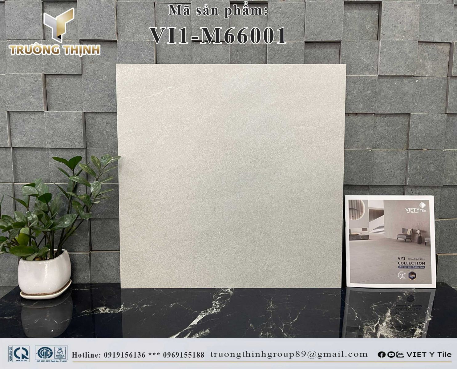 Gạch lát nền 600x600 Việt Ý VI1-M66001