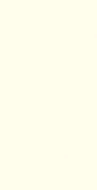 Gạch ốp lát 400x800 Viglacera TL4811
