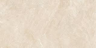 Gạch ốp lát 300x600 Viglacera PL36-23
