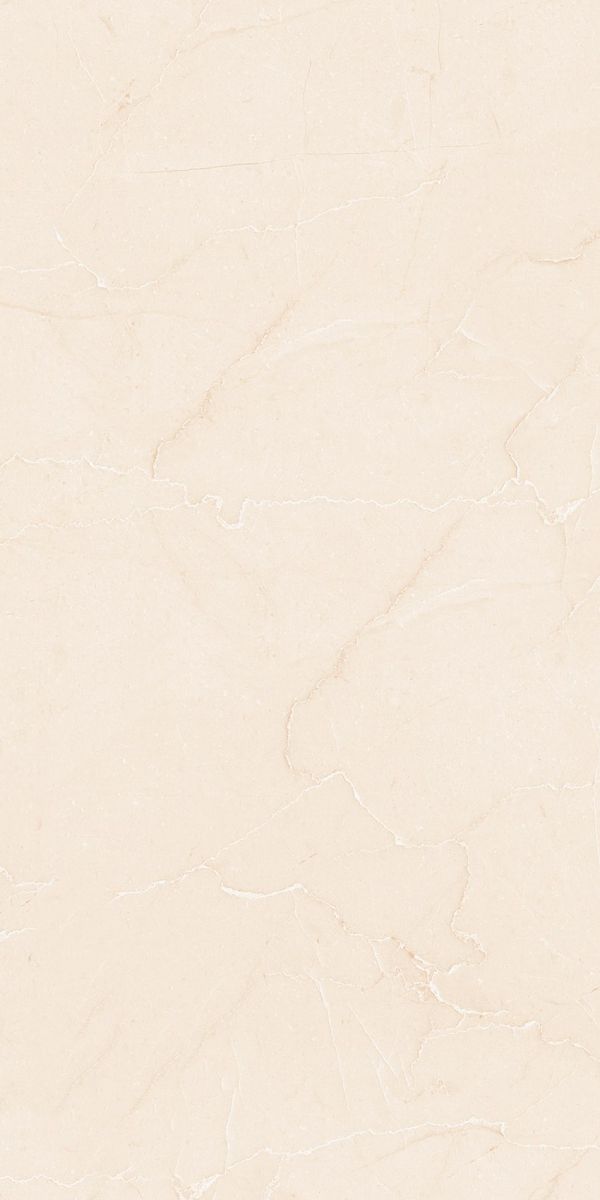 Gạch ốp lát 300x600 Viglacera PL36-ST02