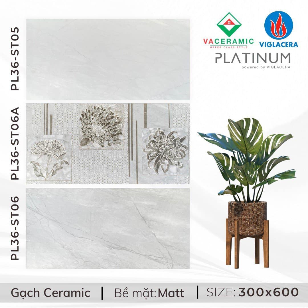 Gạch ốp lát Viglacera 300x600 mã PL36-ST06A