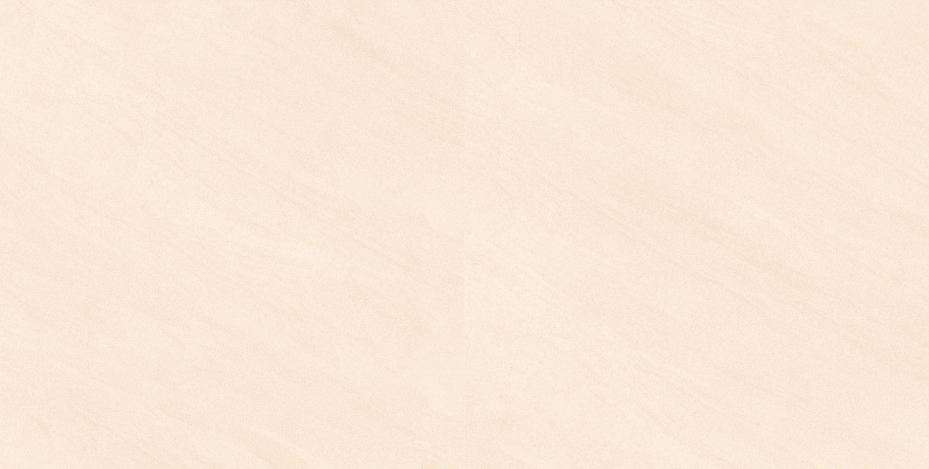Gạch ốp lát 300x600 Viglacera VHP3603