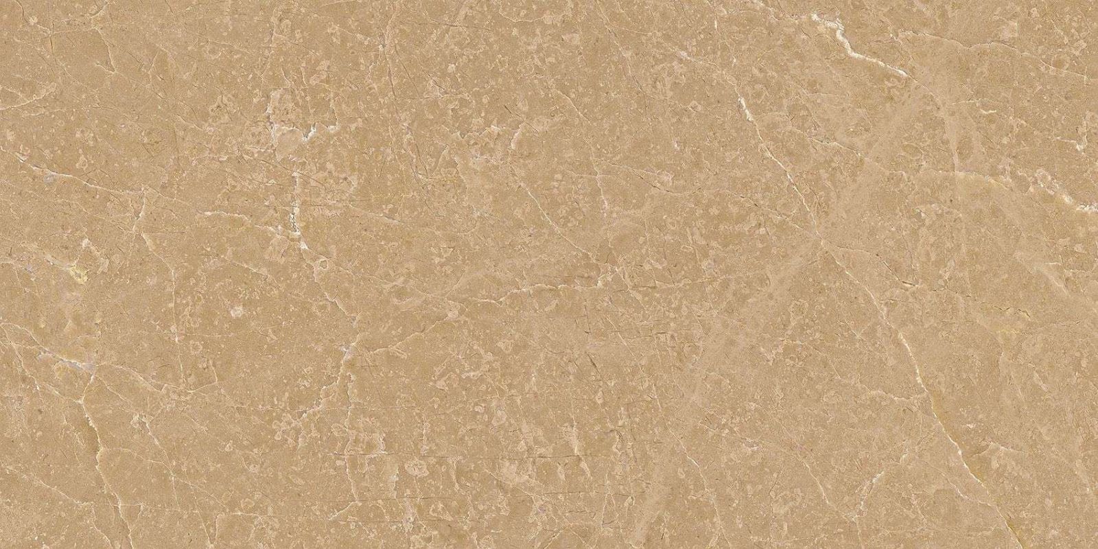 Gạch ốp tường 300x600 Viglacera KTCE3620