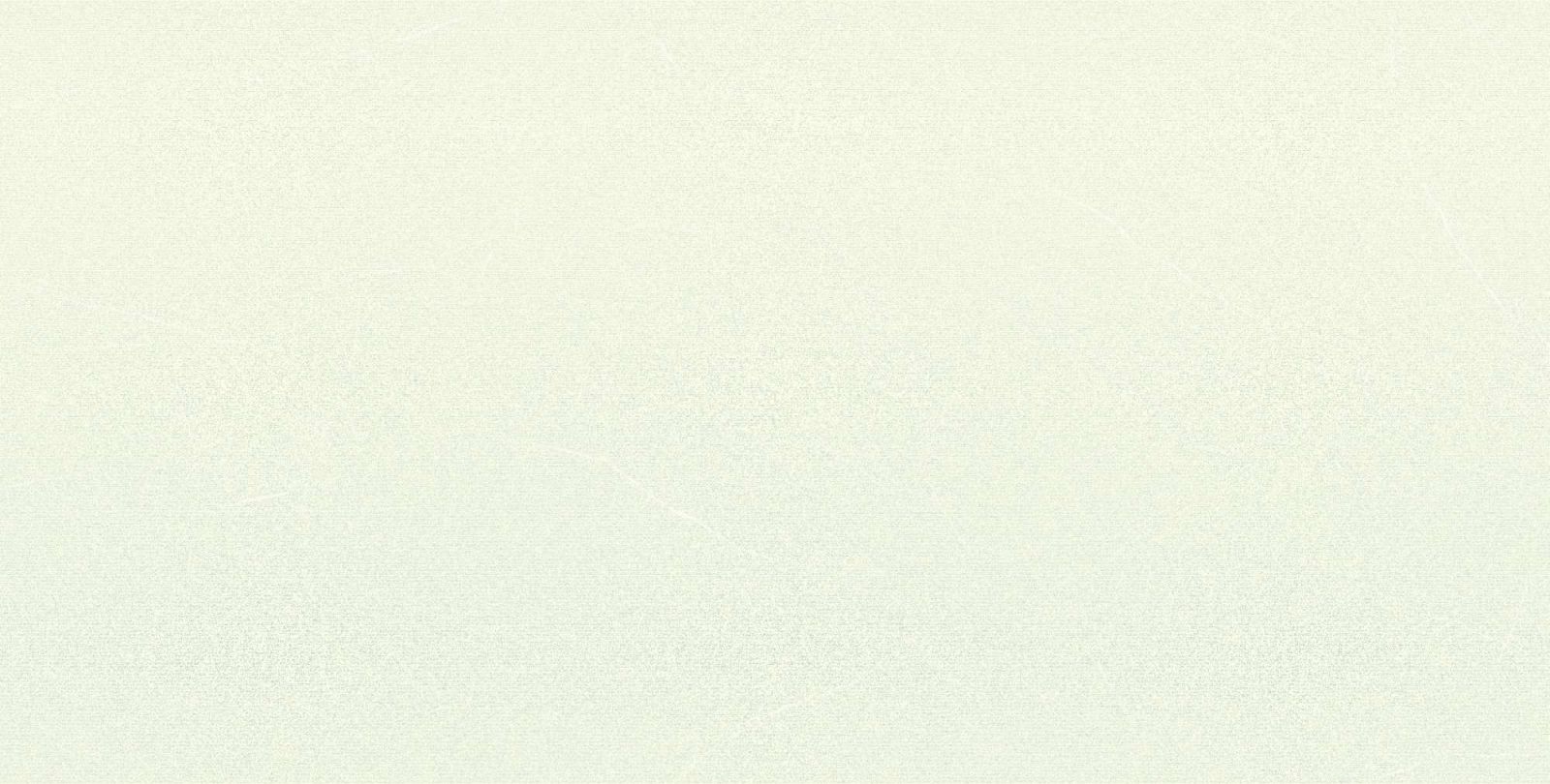 Gạch ốp tường 300x600 Viglacera T365
