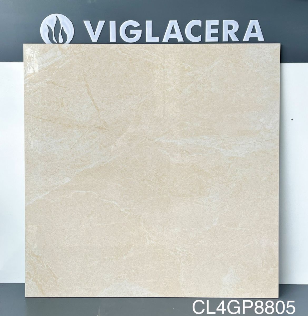 Gạch Lát Nền 800x800 Viglacera mã CL4-GP8805