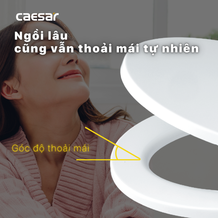 Hình ảnh Nắp bàn cầu êm Caesar M260