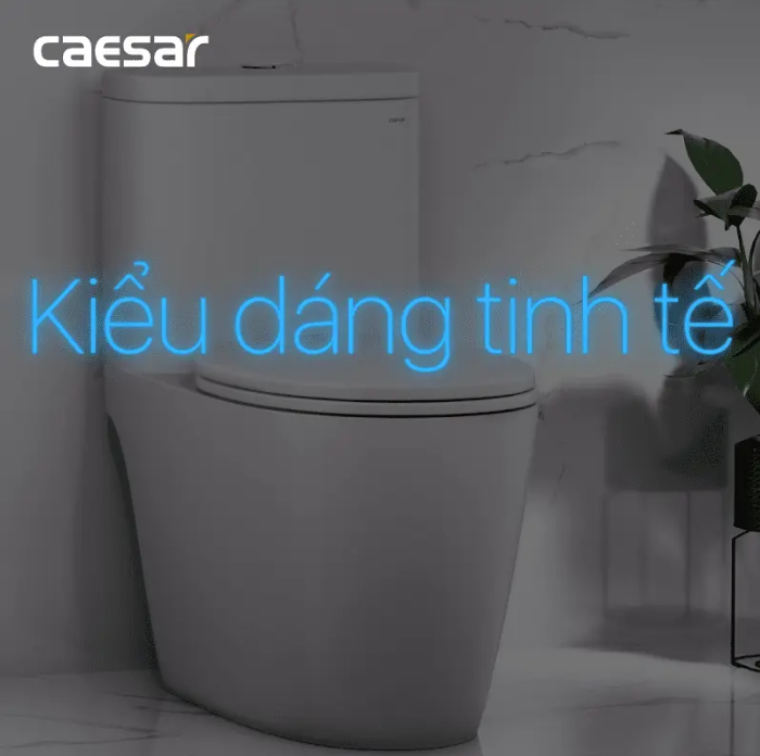 Hình ảnh Nắp bàn cầu êm Caesar MU234