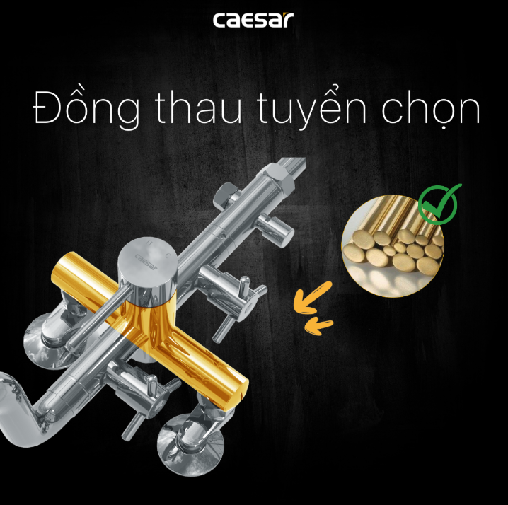 Sen tắm đứng âm tường Caesar S488C