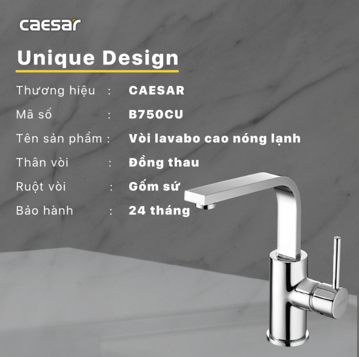 Vòi chậu Lavabo 1 lỗ nóng lạnh Caesar B750CU