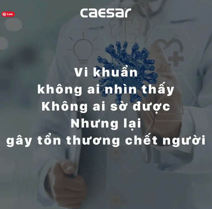 Bộ xả tiểu cảm ứng Caesar A623